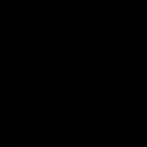 Meet your Posher, Adrienne